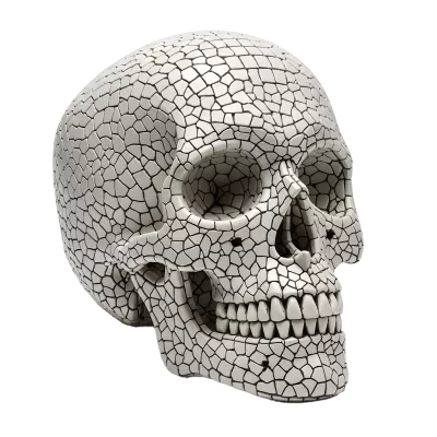 Imagen PNG para descargar